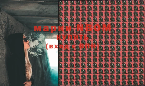 соль ск Переславль-Залесский