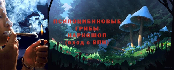 молекула духа Покачи